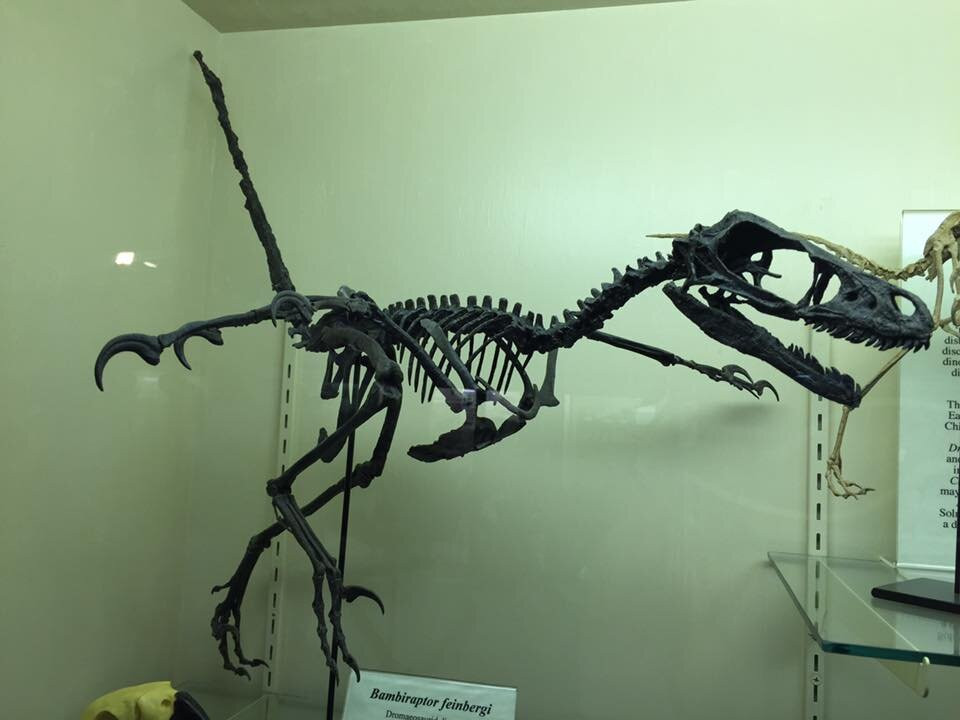 Tate Geological Museum-卡斯珀必去景点