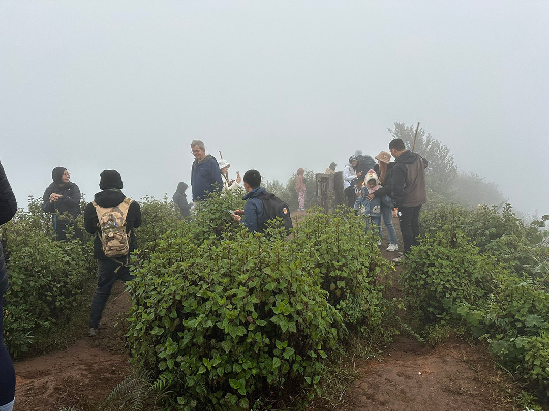 Doi Pha Hom Pok National Park-芳县必去景点