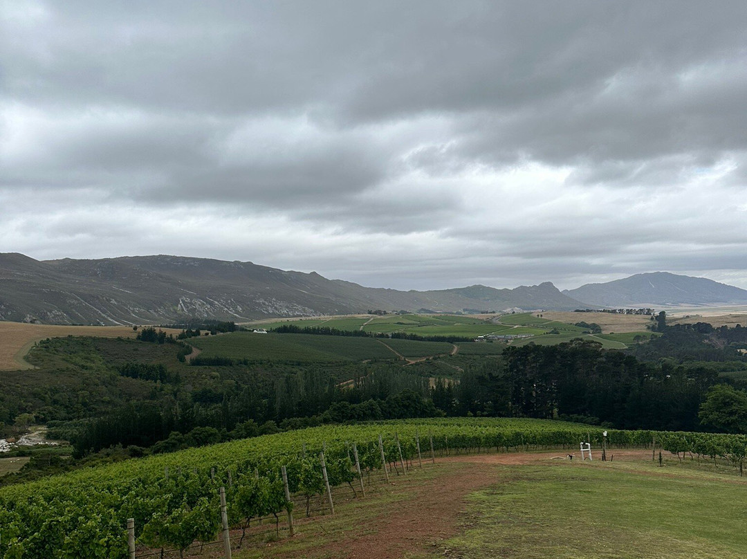 Ataraxia Wines-赫曼努斯必去景点