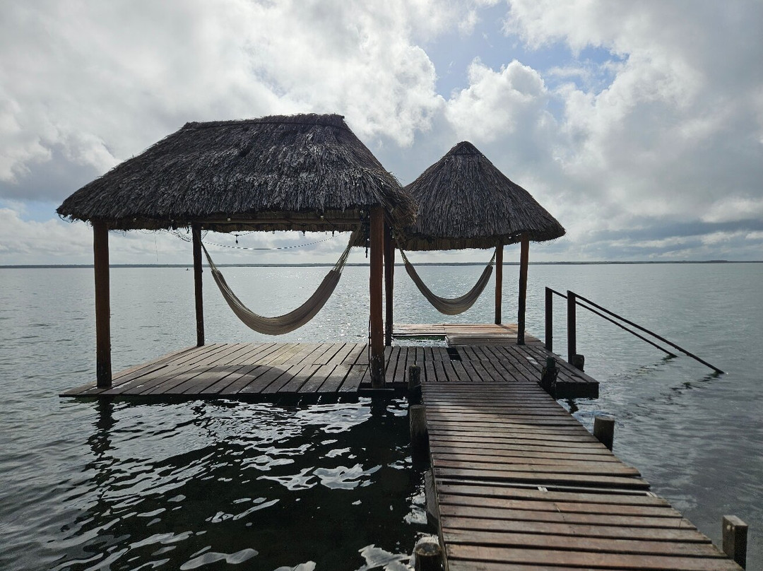 Agave Blue Bacalar主图