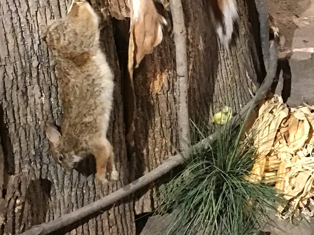 Mashantucket Pequot Museum & Research Center-马山图克特皮克特必去景点