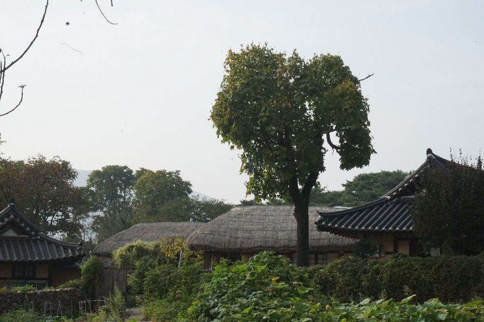 Oeam Folk Village-牙山市必去景点