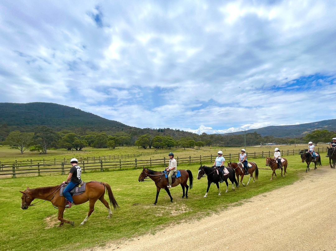 Thredbo Valley Horse Riding-Crackenback必去景点