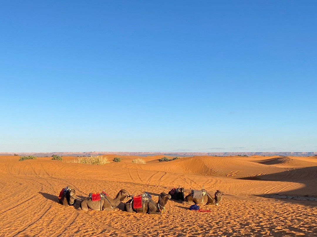 Zagora Desert Travel-扎古拉必去景点