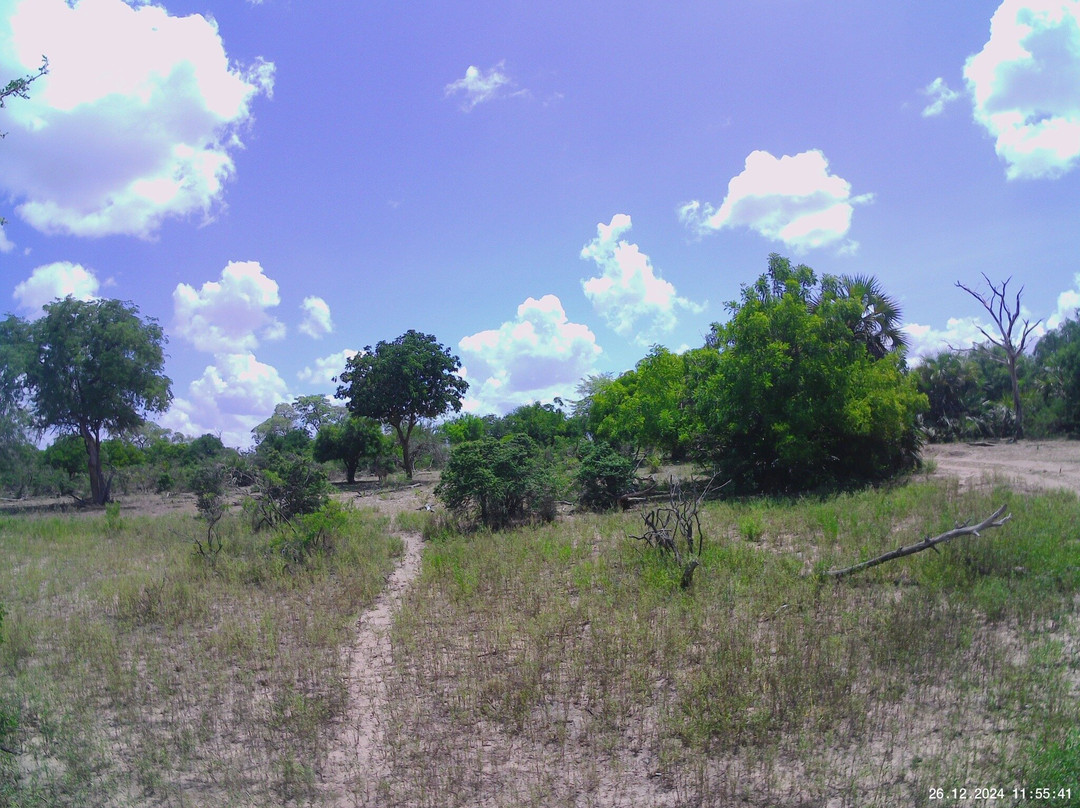 Selous Game Reserve-塞卢斯禁猎区必去景点