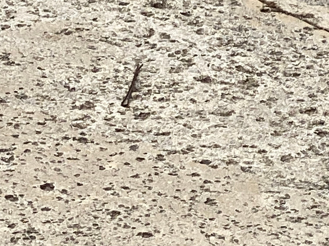 Vivo Beach Club-卡罗来纳必去景点