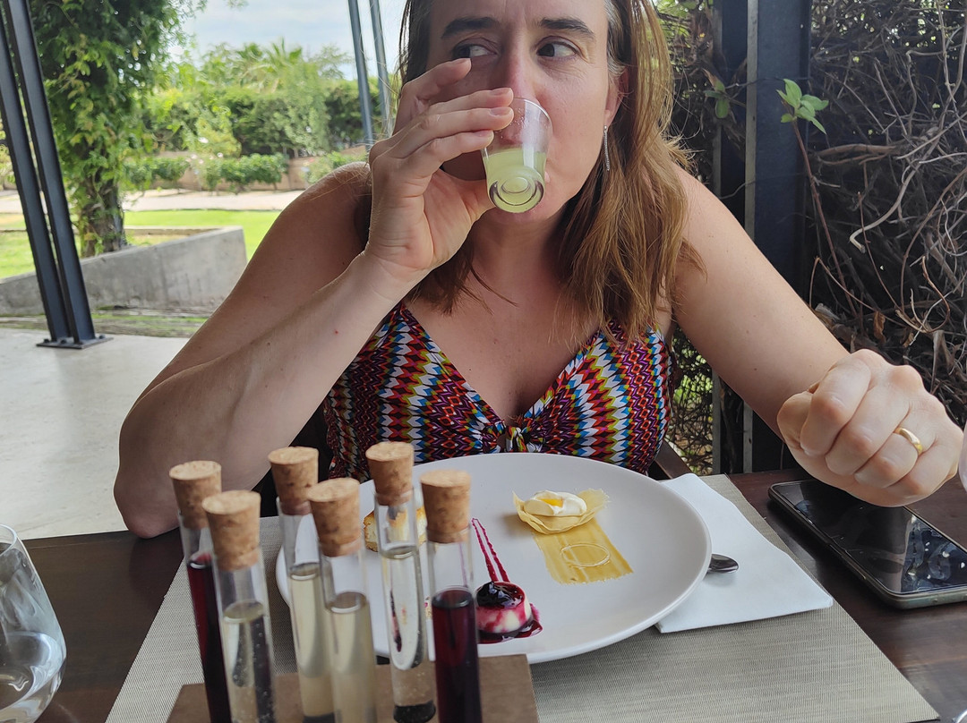 Bodega Tierras Altas-路冉得库约必去景点