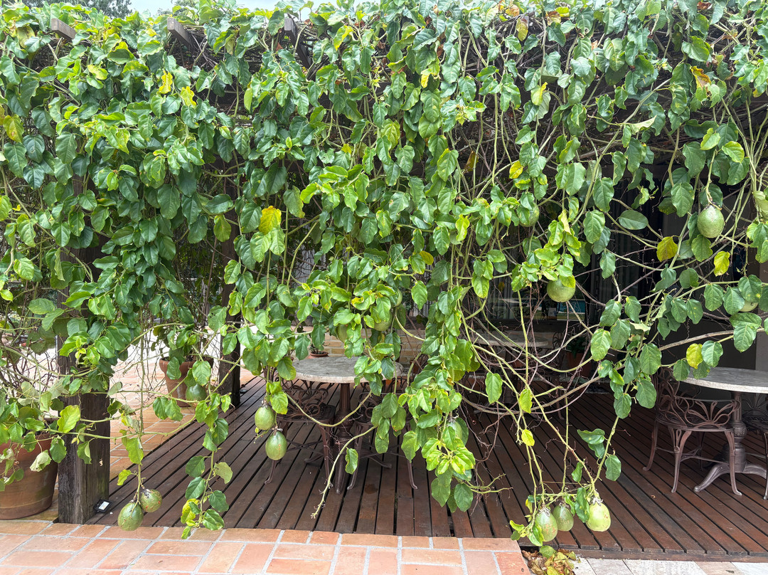 Canto Do Irerê Boutique Hotel主图