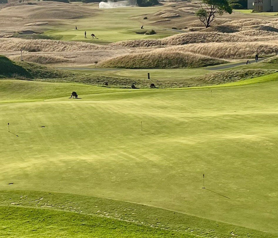 Links Lady Bay Resort主图