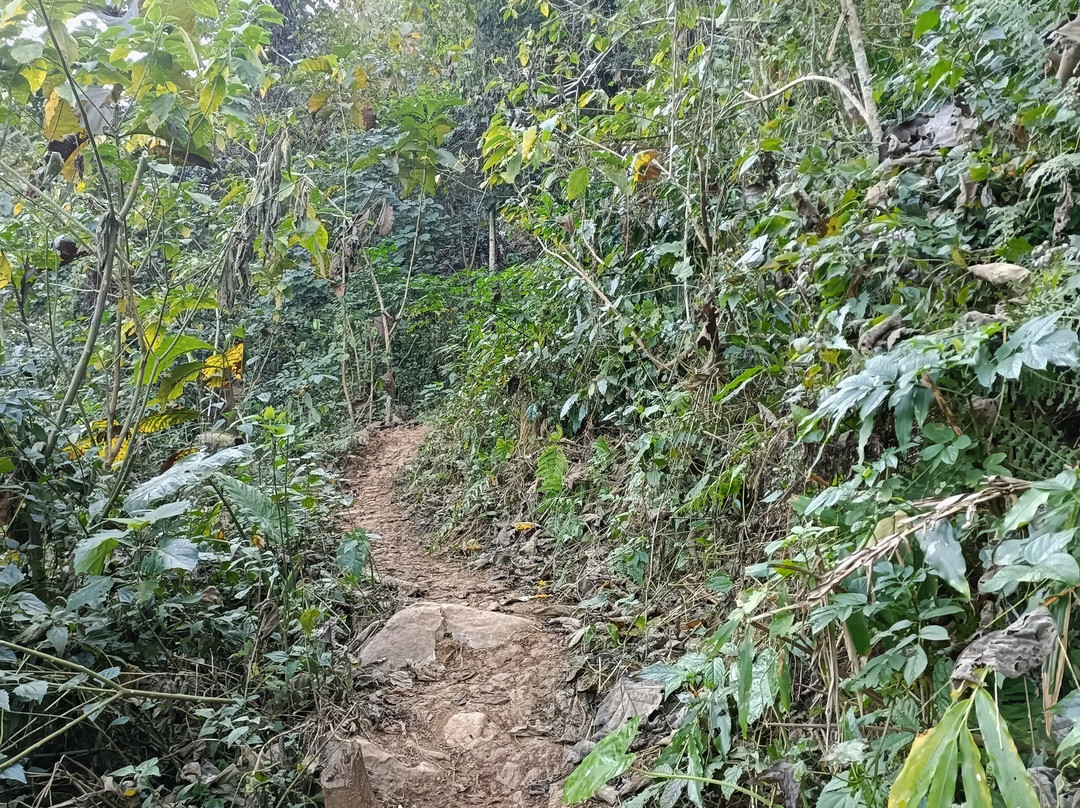 Muang Ngoi Neua Viewpoint-Muang Ngoi Neua必去景点