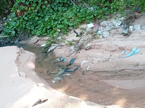 芭堤雅沙妮酒店主图