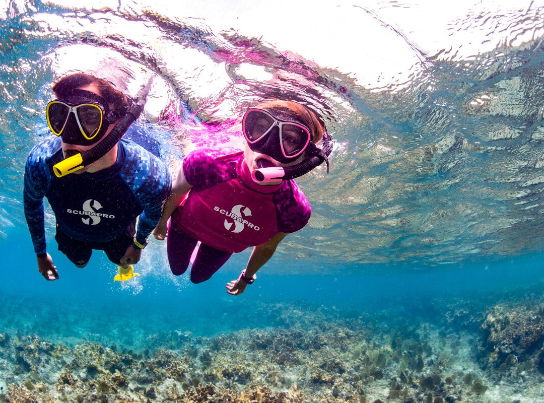 Skualo Dive Center-克里斯托港必去景点
