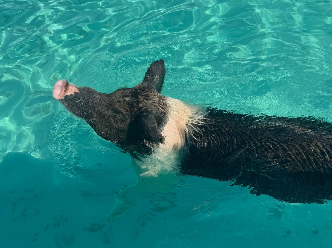 Aquaquest Escapes-George Town必去景点