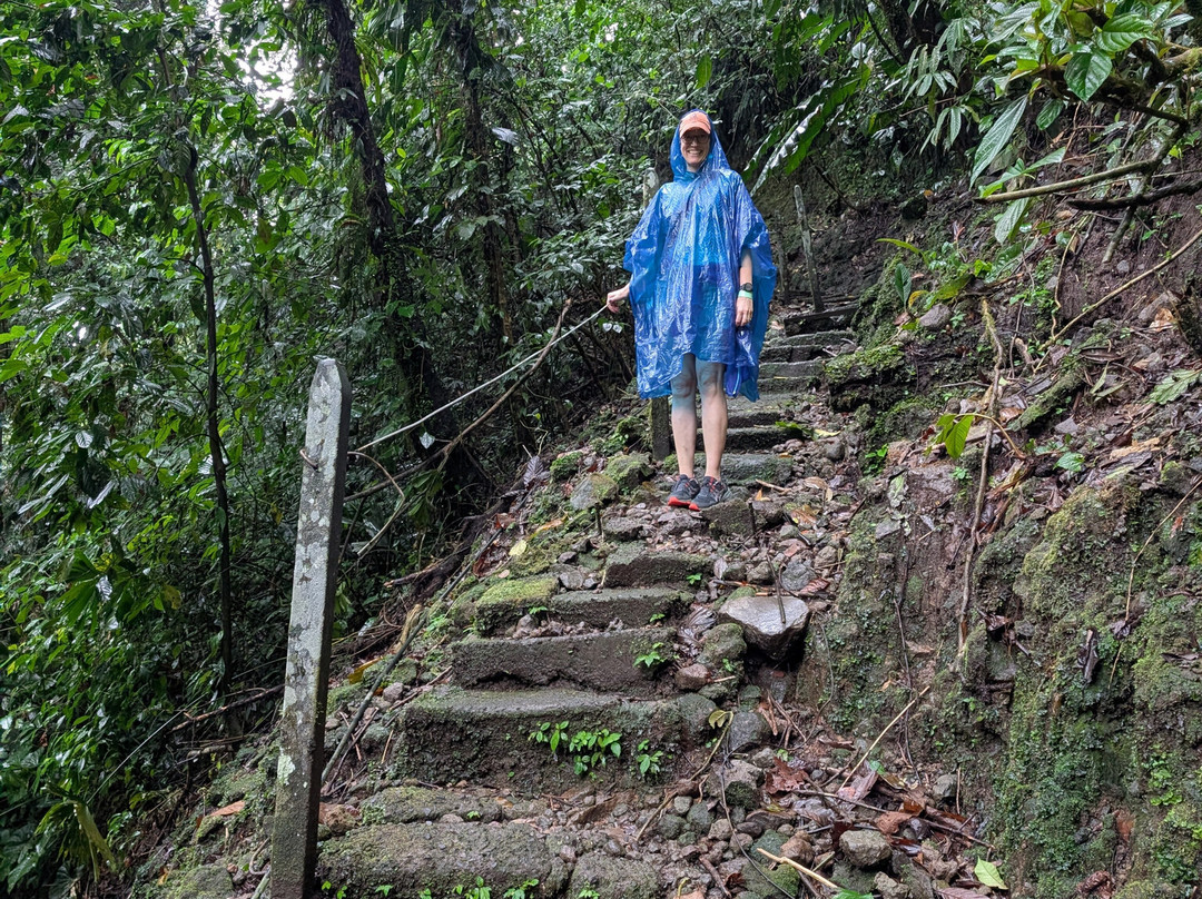 Maquengue Falls Natural Resort主图