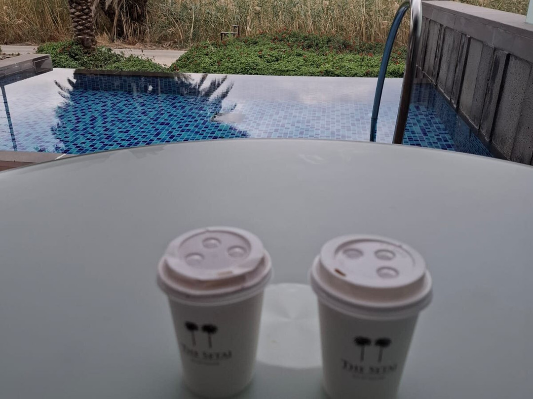 The Setai Sea of Galilee主图