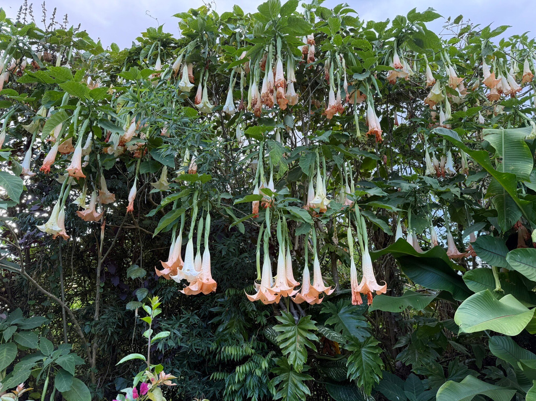 Hotel Panamonte主图