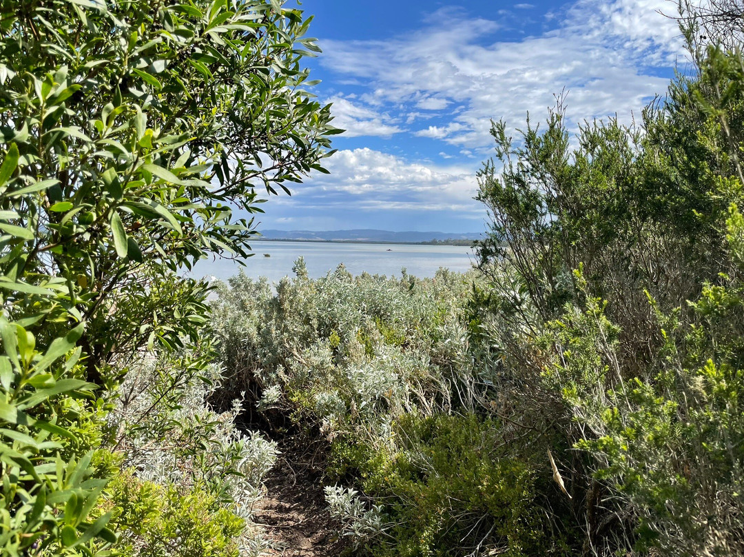 Old Port Walking Trail-Port Albert必去景点