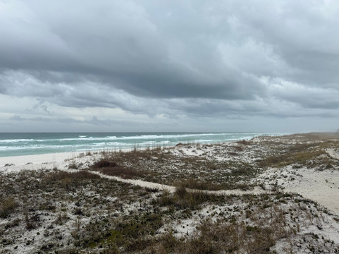 Rosie O' Gradys Dueling Piano Show-彭萨科拉必去景点