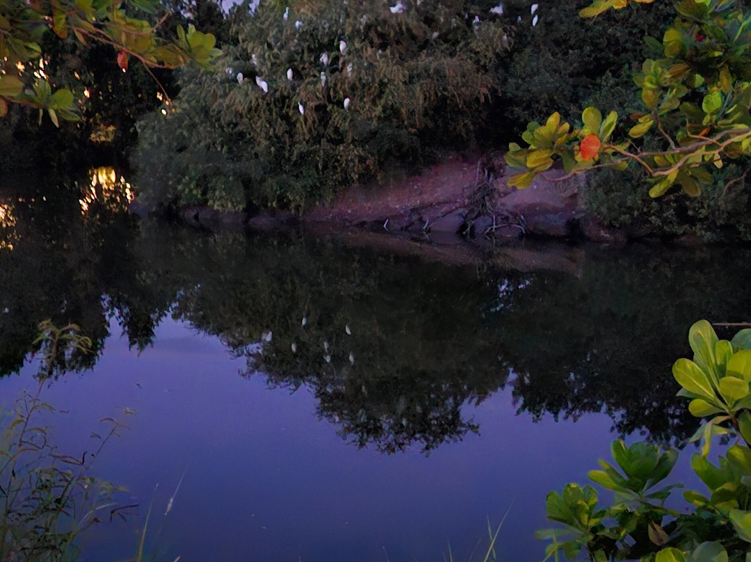Royalton Lake-Port Salines必去景点