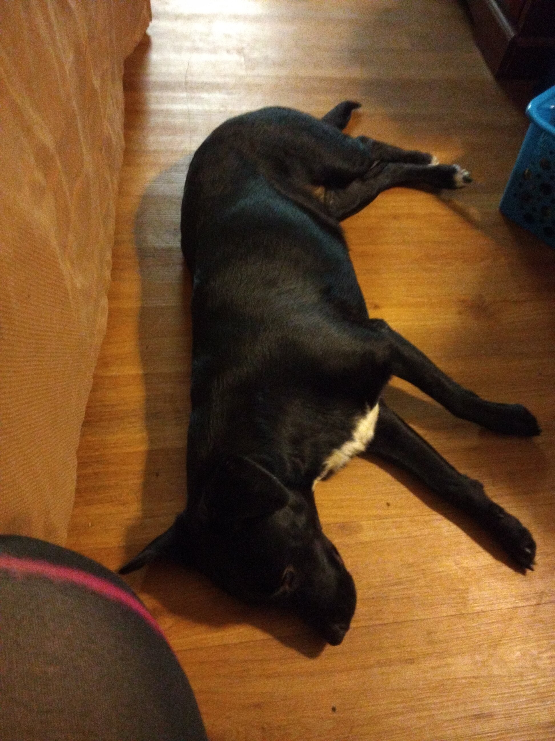 Econo Lodge North-客卧