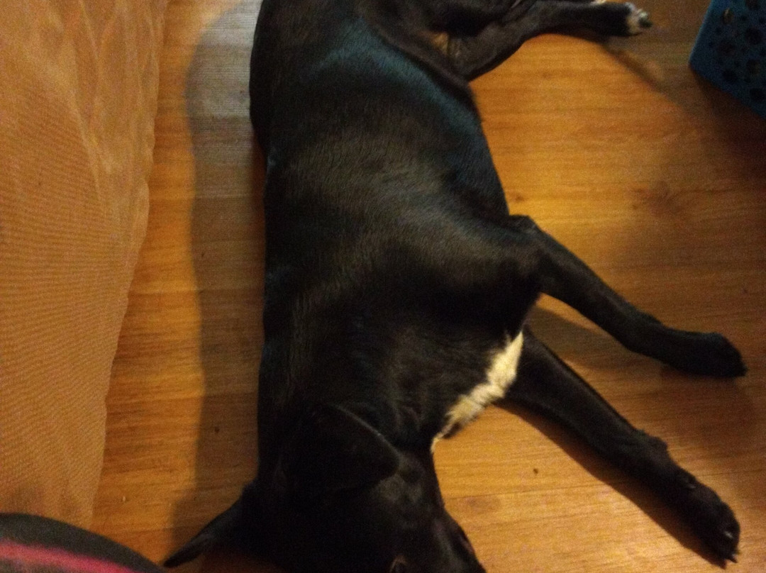 Econo Lodge North主图