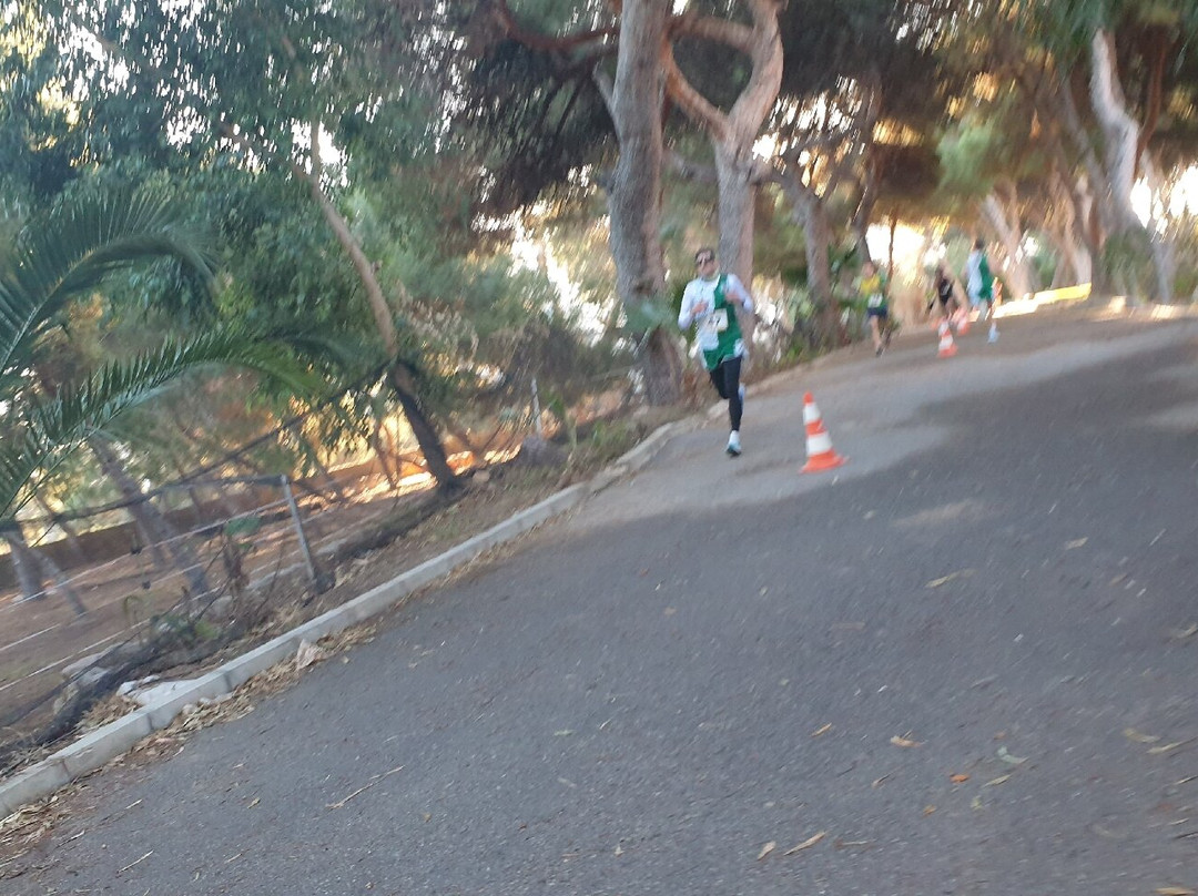Cross Dos Bosco Salesianos El Campello-El Campello必去景点