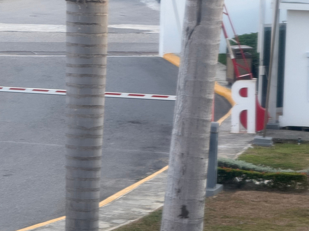 Hotel Riu Reggae主图