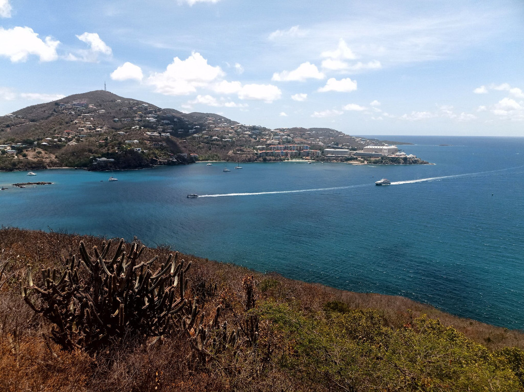St. Thomas Historical Trust Museum And Tours-夏洛特阿马利亚必去景点