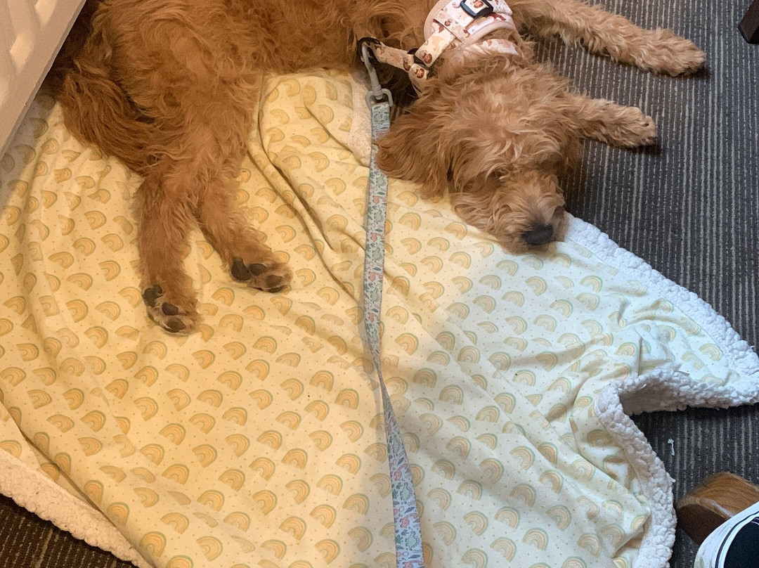 The Crab & Lobster Inn主图