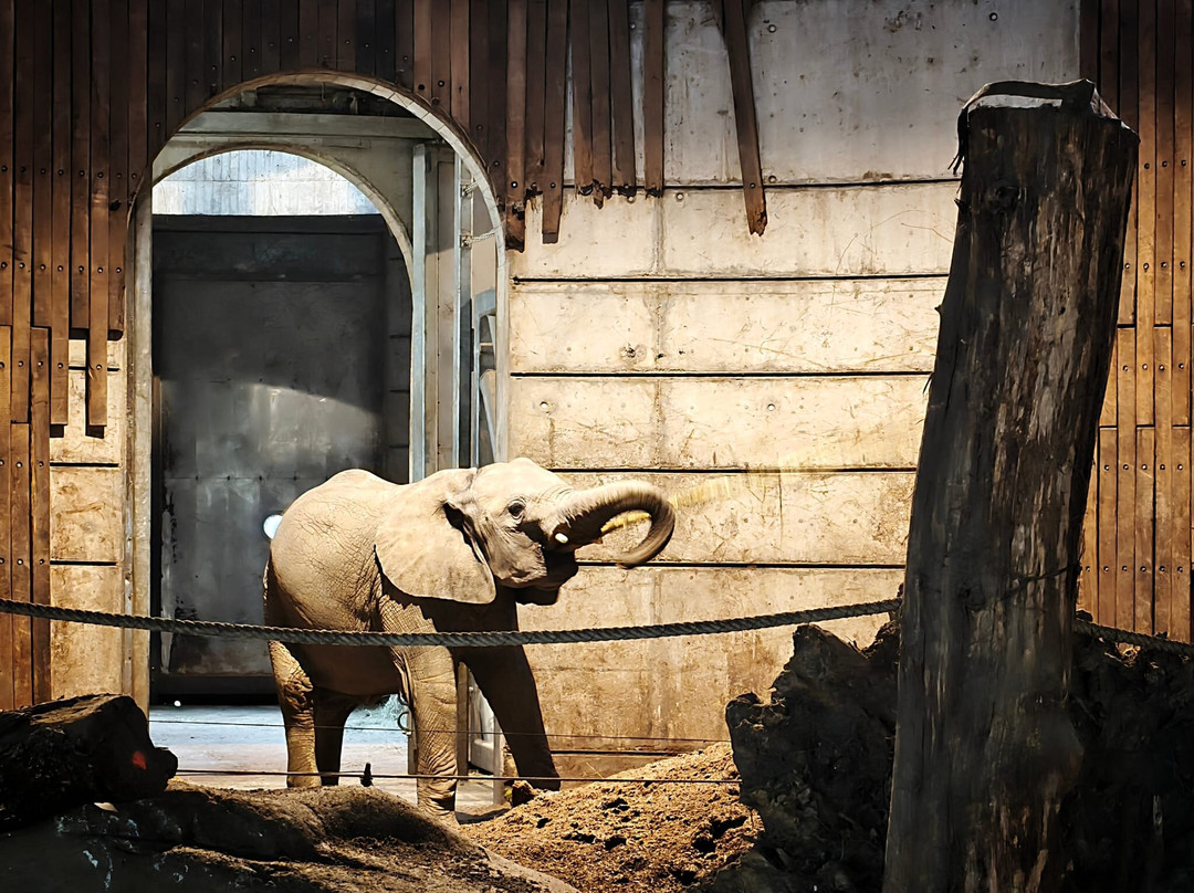 Zoo Wuppertal景点图片