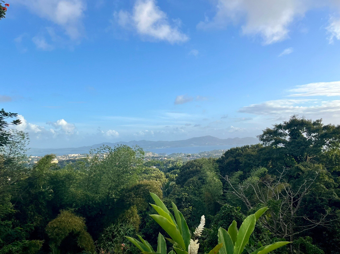 Balata Cathedral (Sacré-Coeur de Balata)-马提尼克必去景点