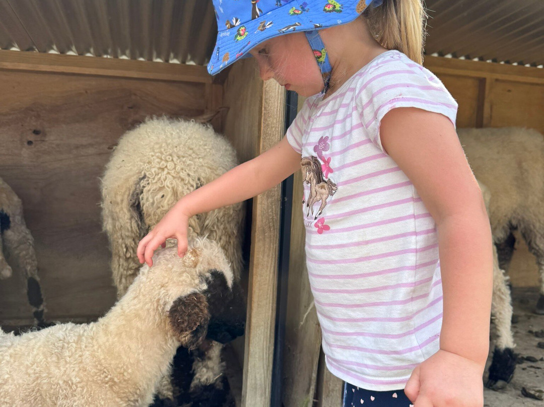 Rose Creek Farm Nz-克伦威尔镇必去景点