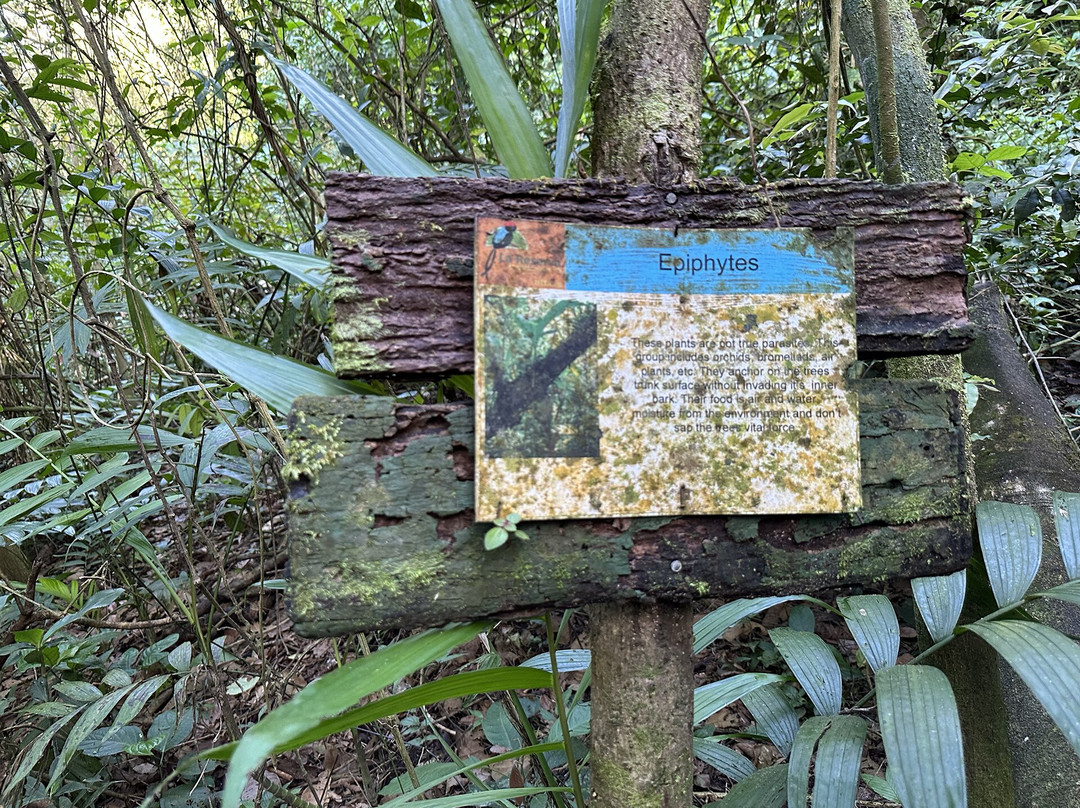 La Reserva Forest Reserve景点图片