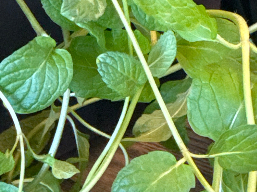 Equilibrium Brewery-Middletown必去景点