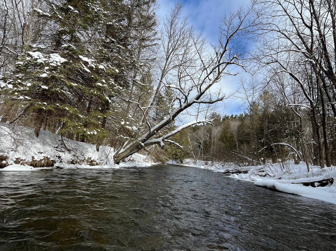 Pine River Paddlesports Center景点图片