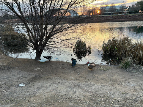 Mueller Lake Park-奥斯丁必去景点