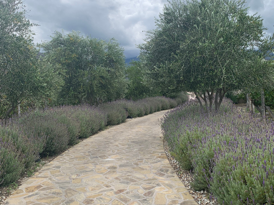 The Piattelli Wine Resort主图