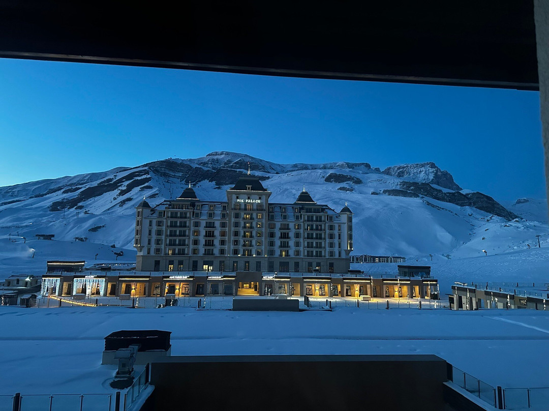 Park Chalet Hotel主图