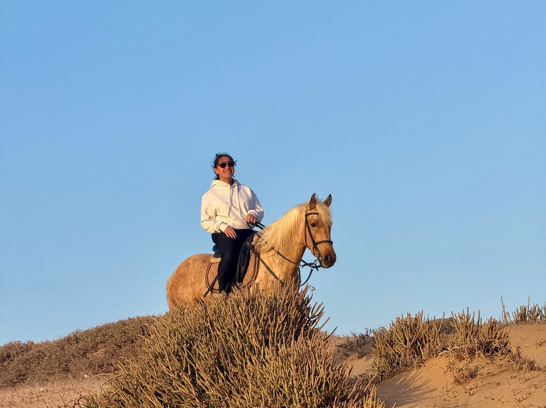 Morocco Ocean Horses-Sidi Kaouki必去景点