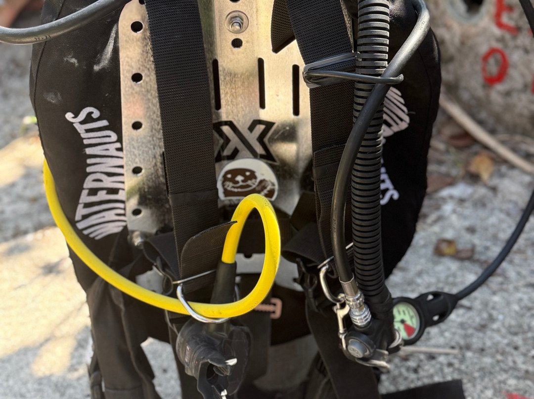 Waternauts Dive Center-梅里达必去景点