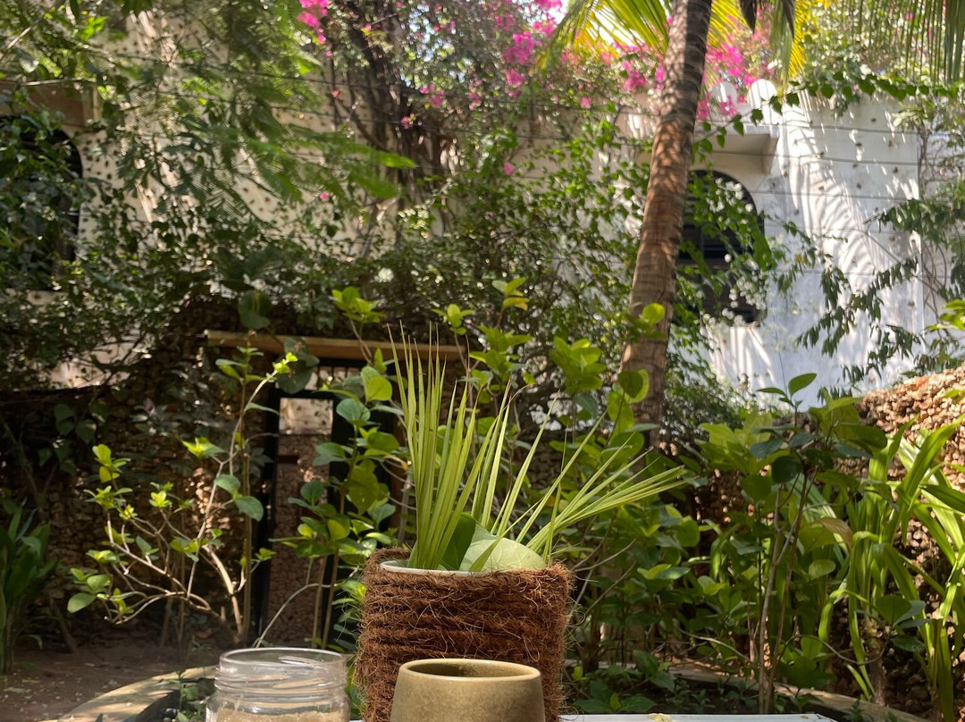 Natural Lamu Beauty Spa景点图片