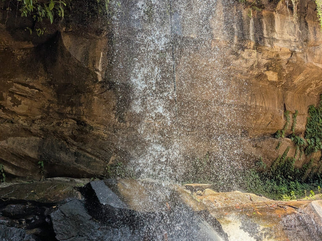 Sheldrick Falls-Kwale必去景点