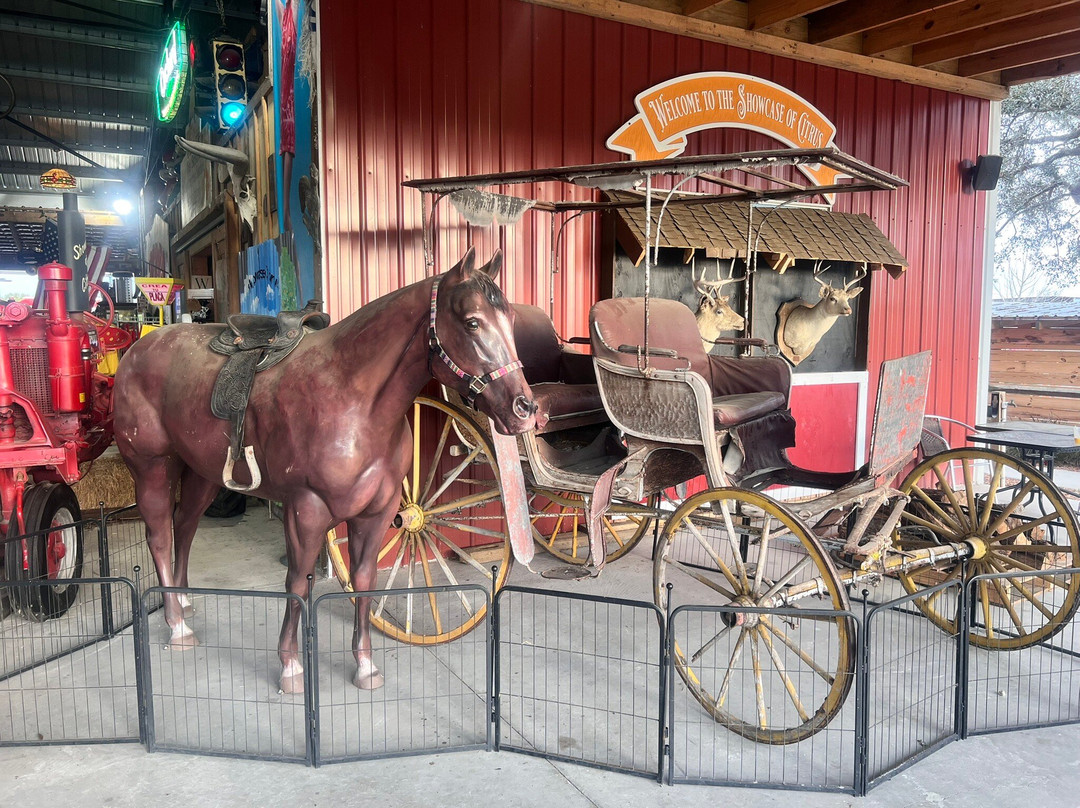 Showcase of Citrus-Clermont必去景点