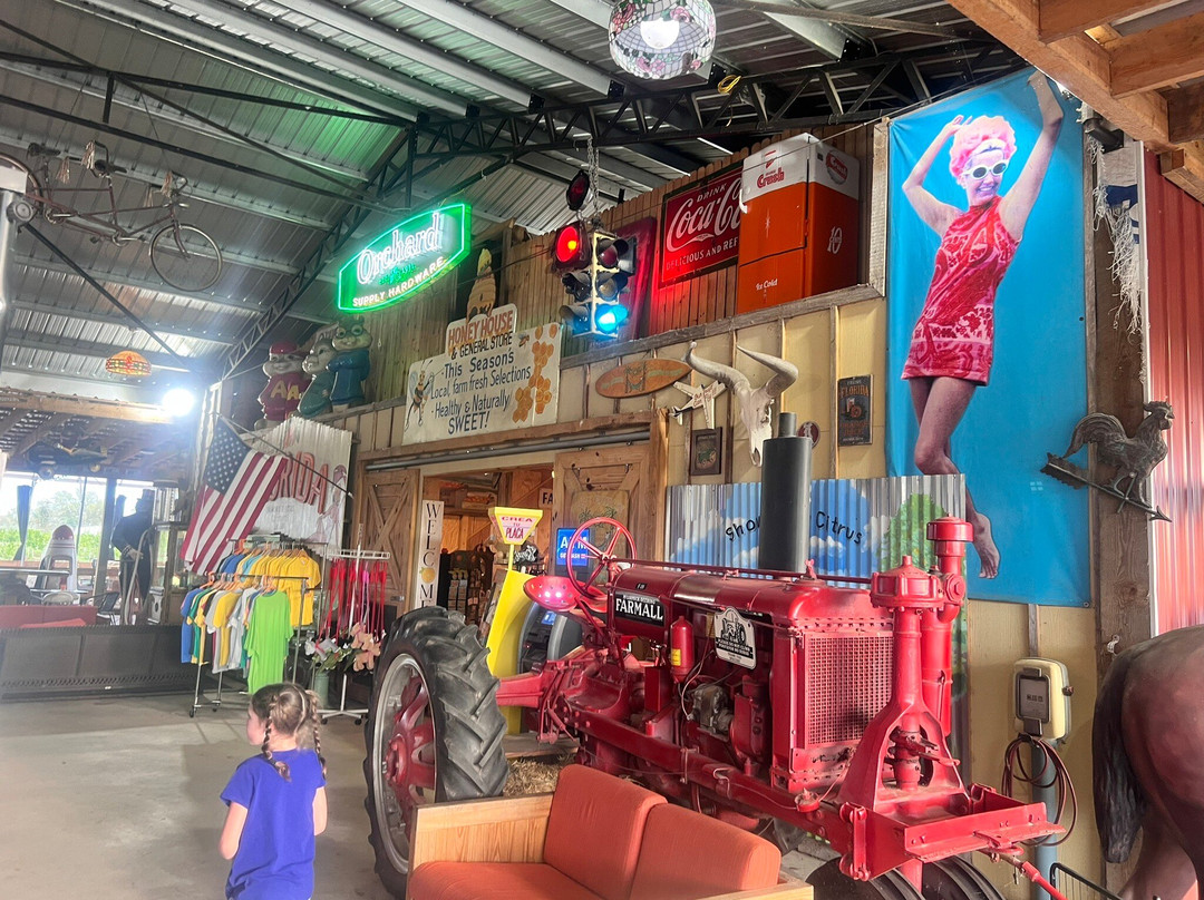 Showcase of Citrus-Clermont必去景点