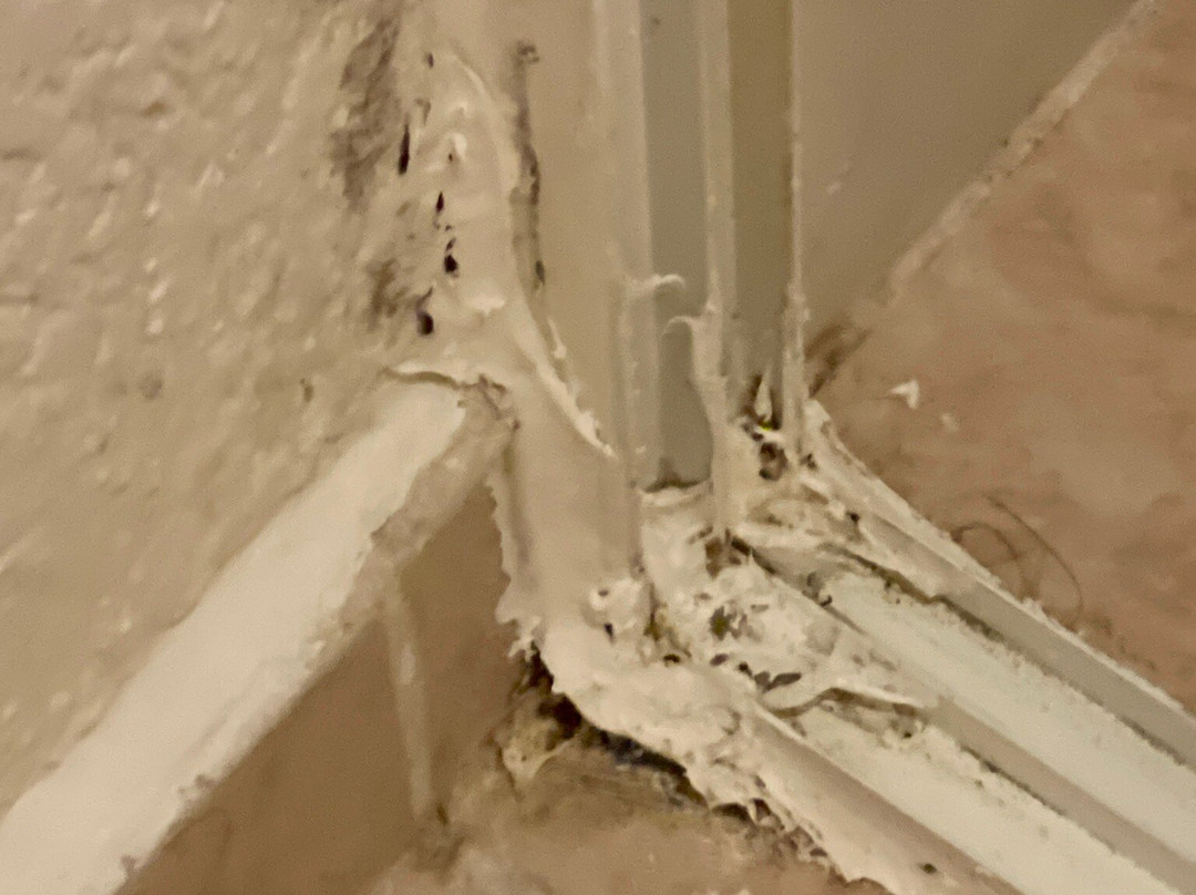 哥斯达客栈酒店主图