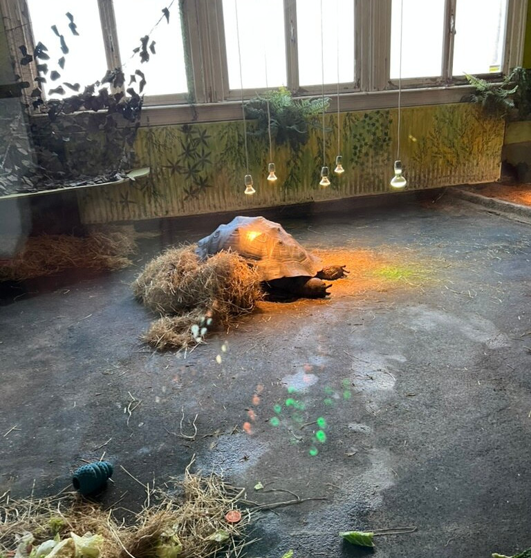 Iguana Reptile Zoo-Zeeland Province必去景点