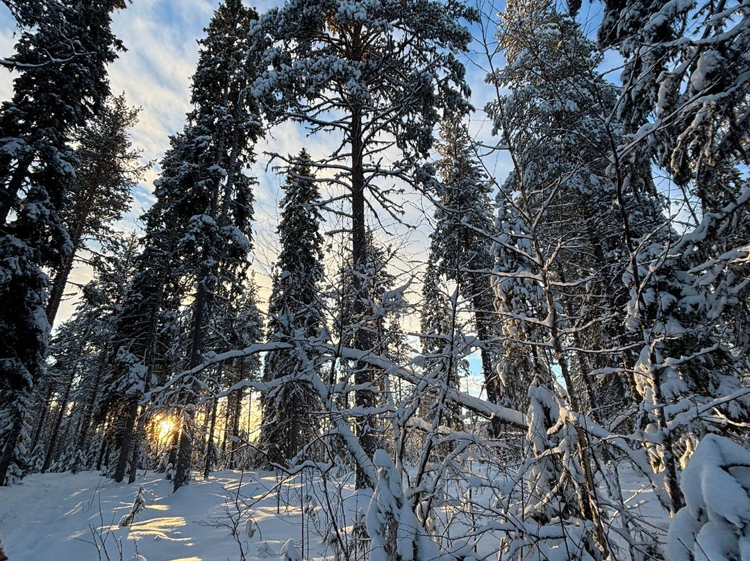 Boreal Pack Adventure-Overkalix必去景点
