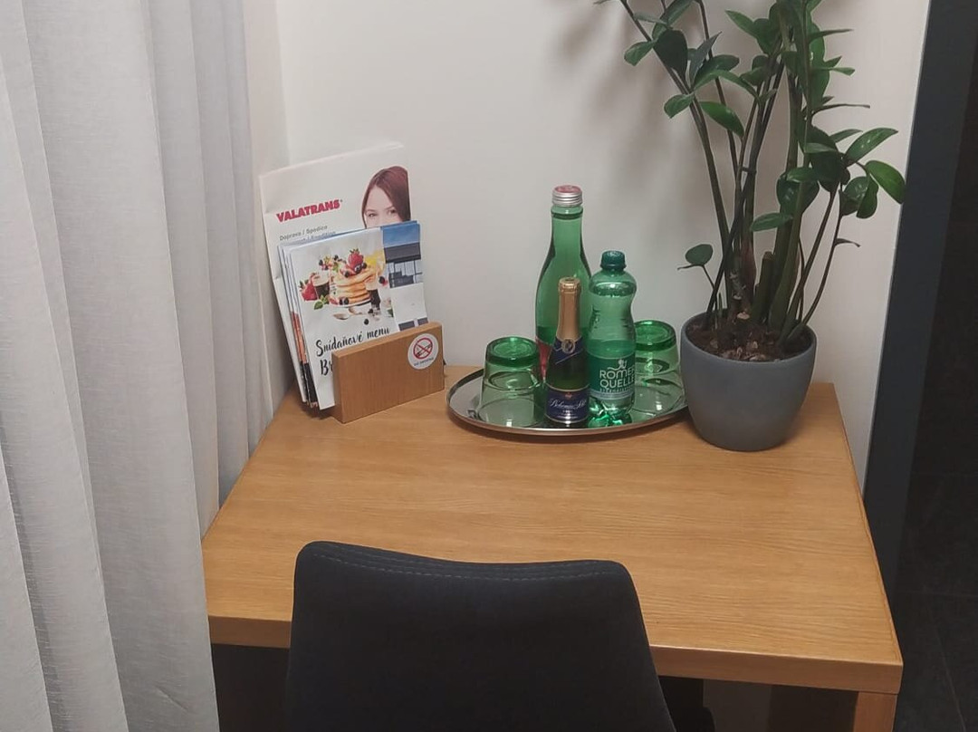 Hotel Smetanova主图