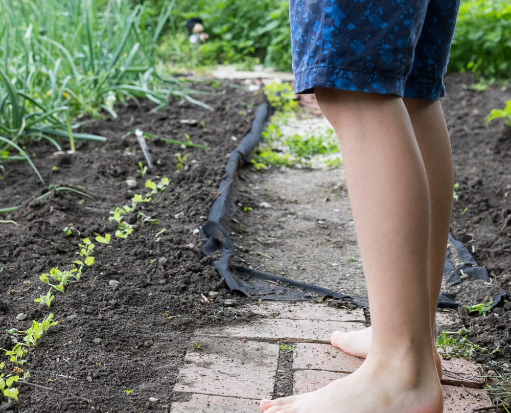 Pension Bassen主图