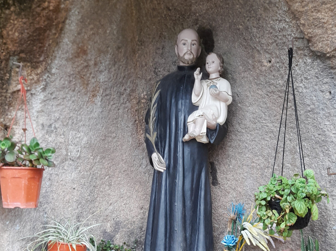 Cueva de Los Pajaritos景点图片